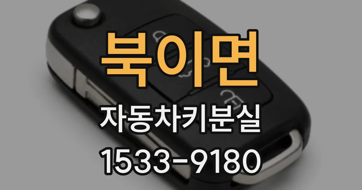 북이면 자동차키분실