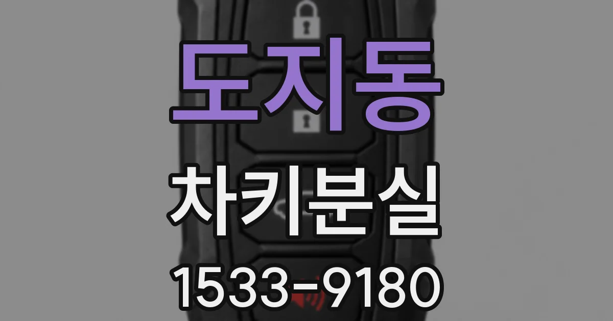 도지동 차키분실