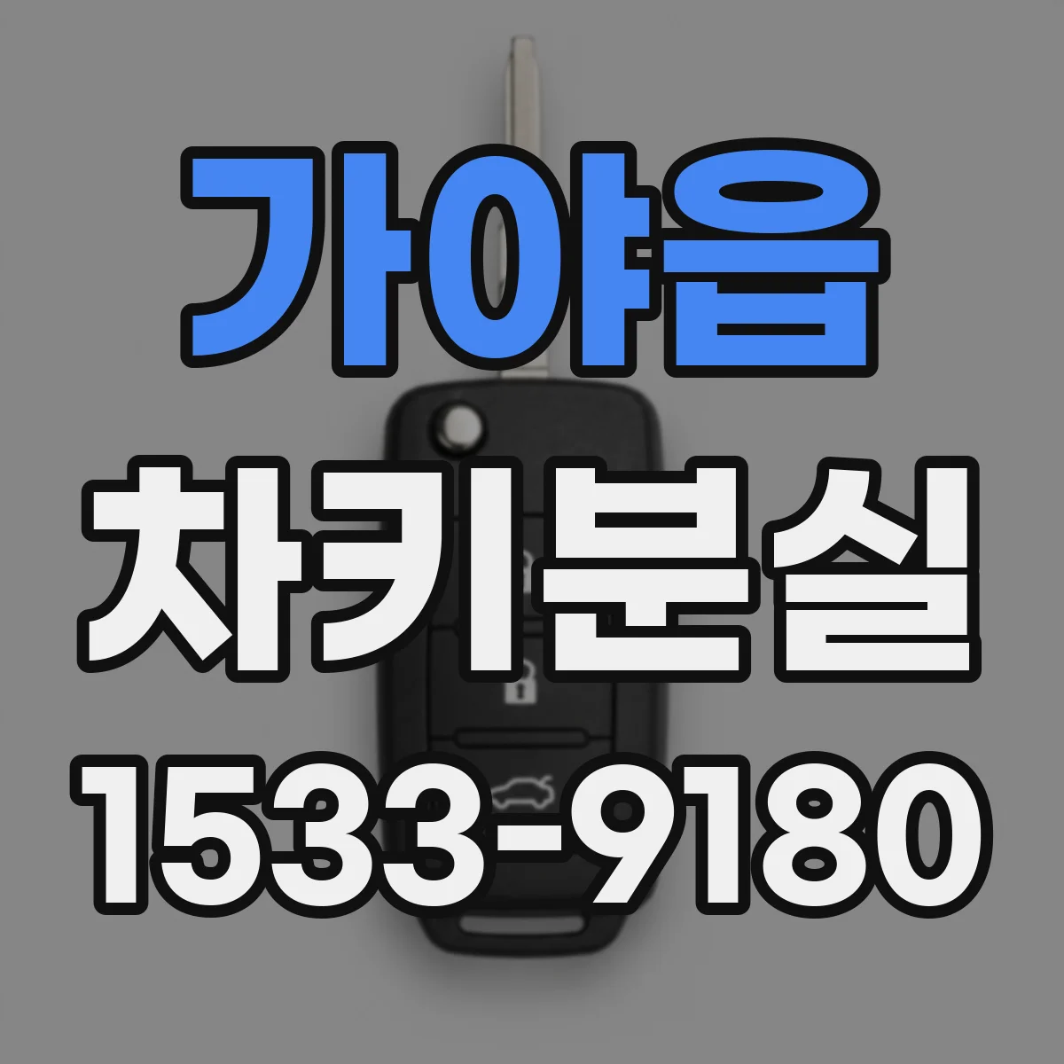 가야읍 차키분실