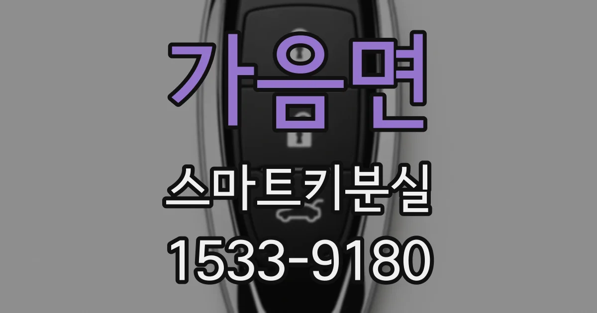 가음면 스마트키분실