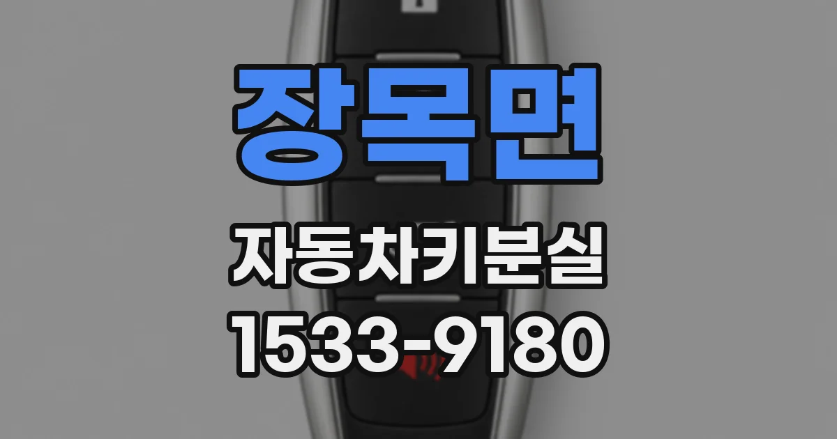 장목면 자동차키분실