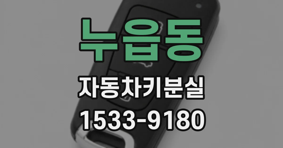 누읍동 자동차키분실