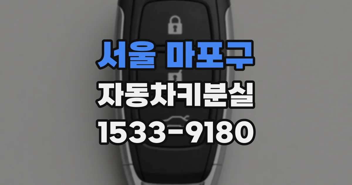 서울 마포구 자동차키분실