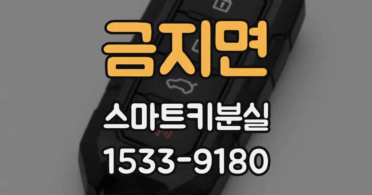 금지면 스마트키분실