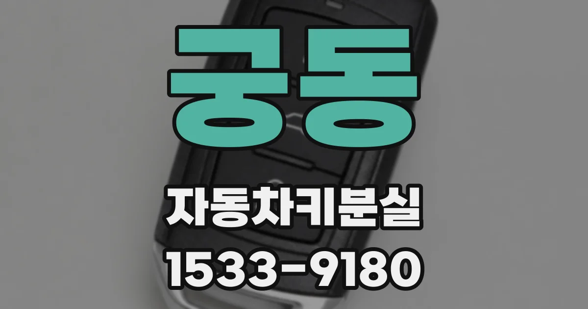 궁동 자동차키분실