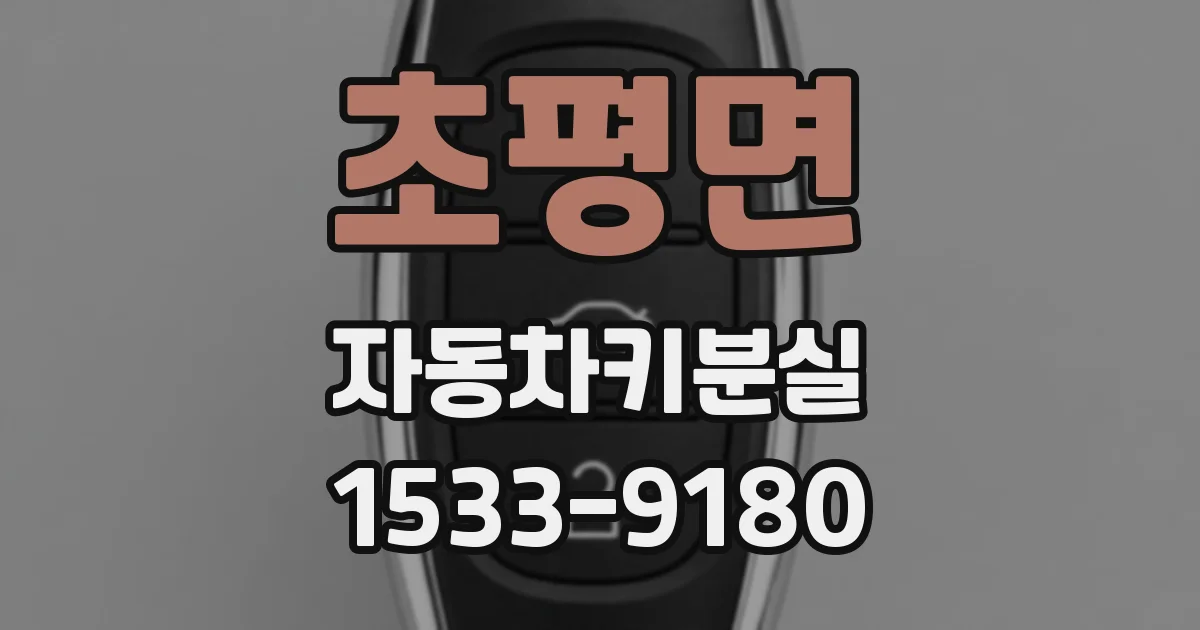 초평면 자동차키분실