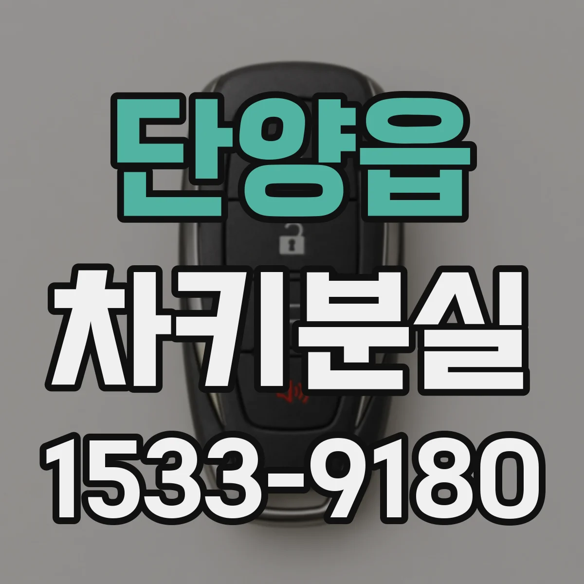 단양읍 차키분실