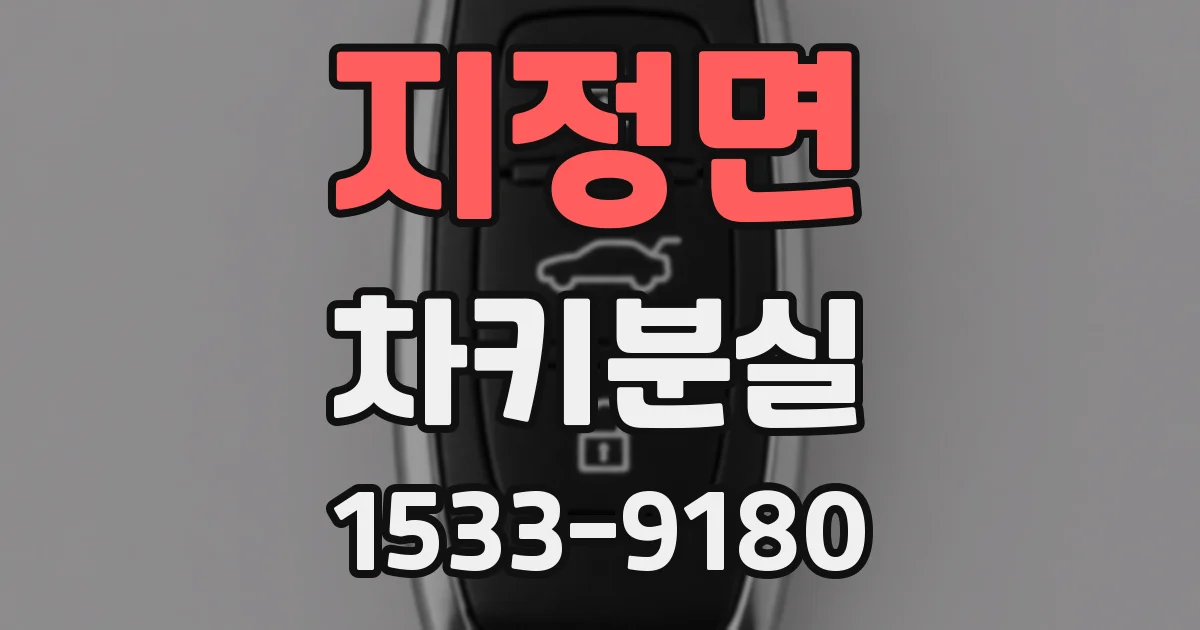지정면 차키분실