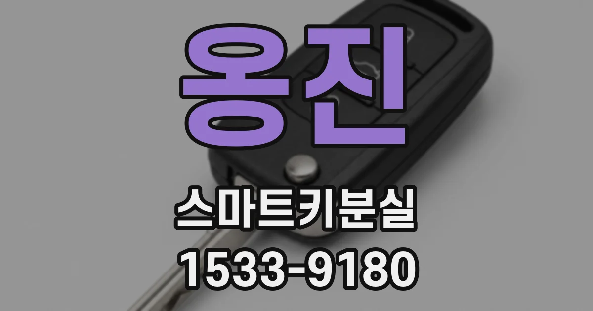 옹진 스마트키분실