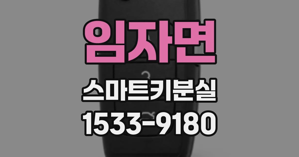 임자면 스마트키분실