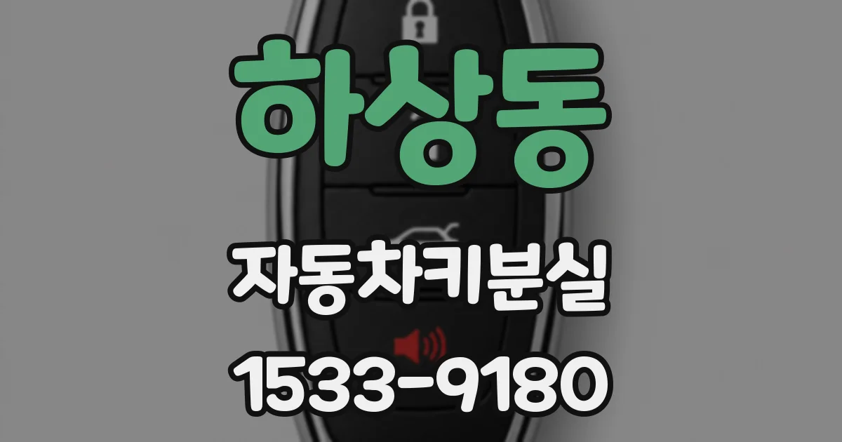 하상동 자동차키분실