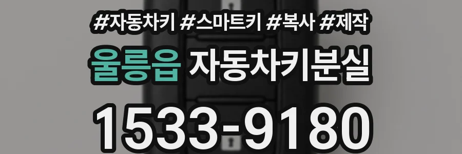 울릉읍 자동차키분실
