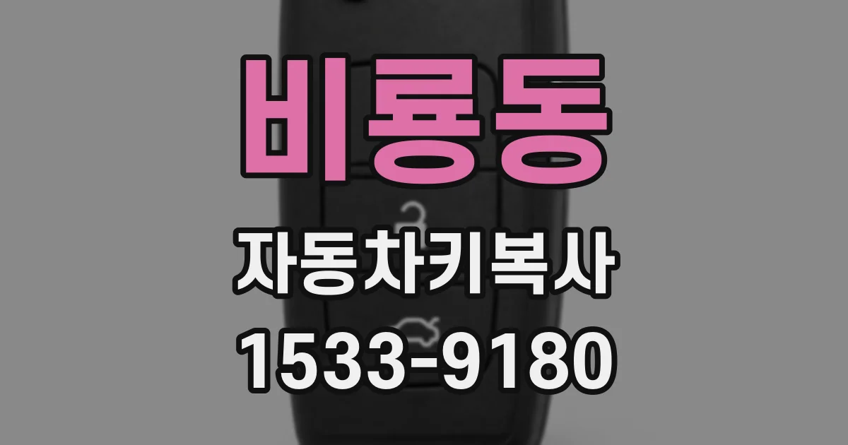 비룡동 자동차키복사