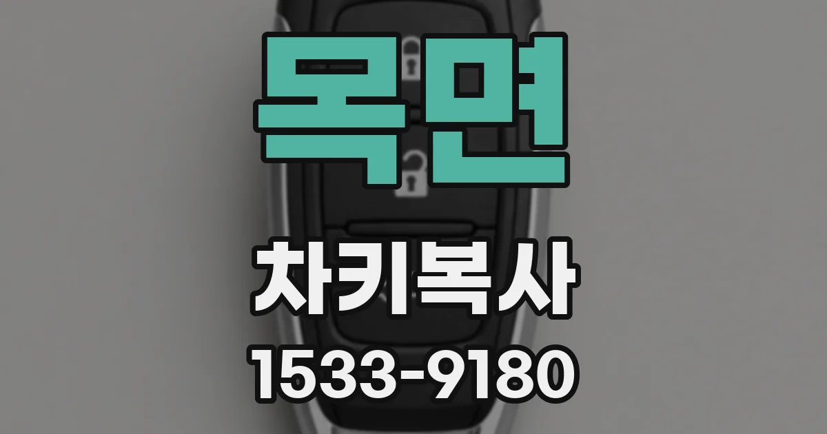 목면 차키복사