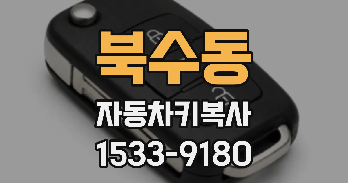 북수동 자동차키복사