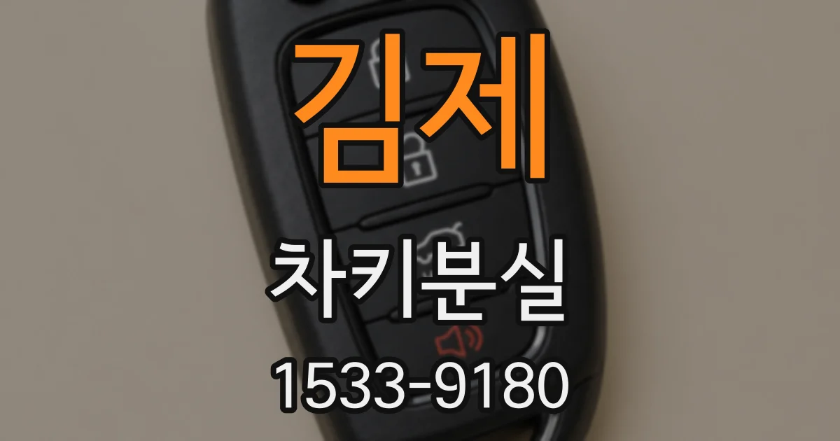 김제 차키분실