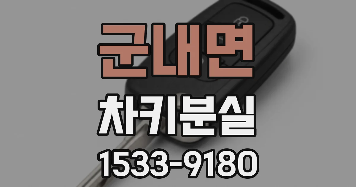 군내면 차키분실