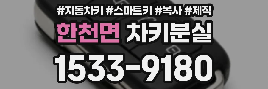 한천면 차키분실