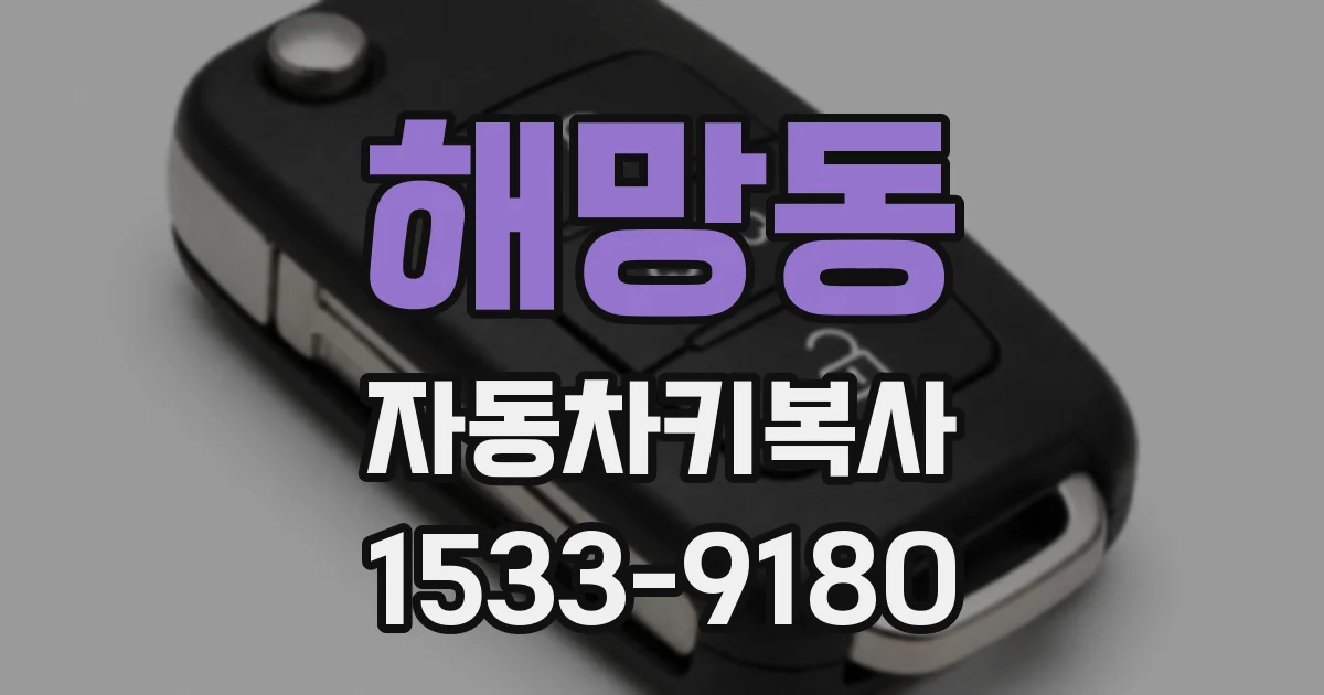 해망동 자동차키복사