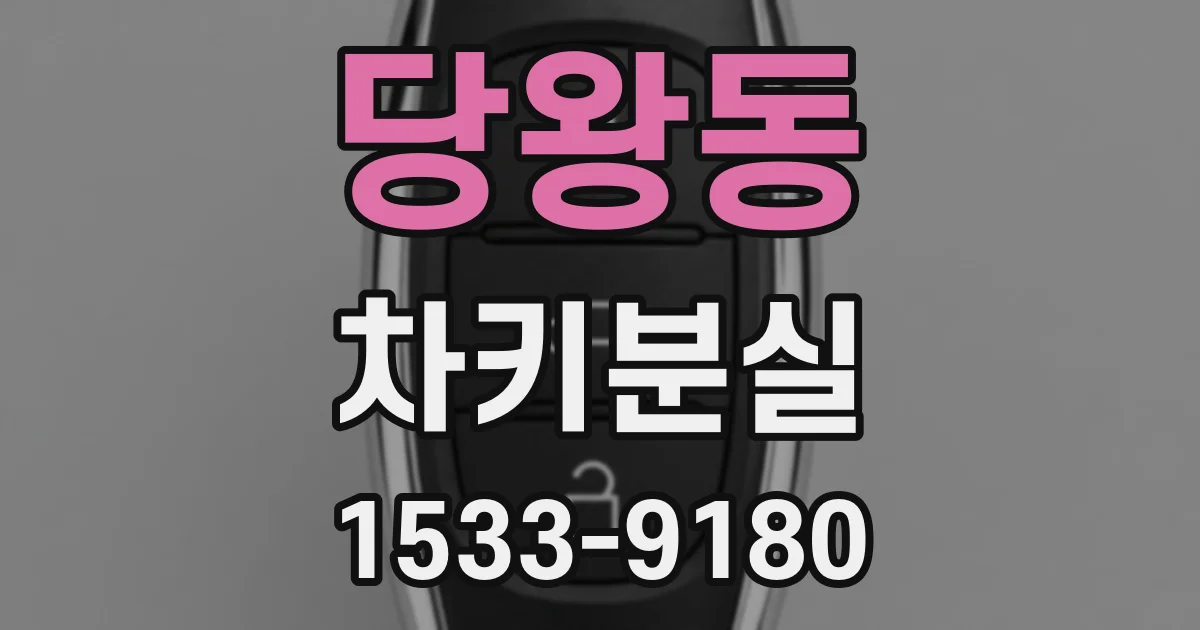 당왕동 차키분실