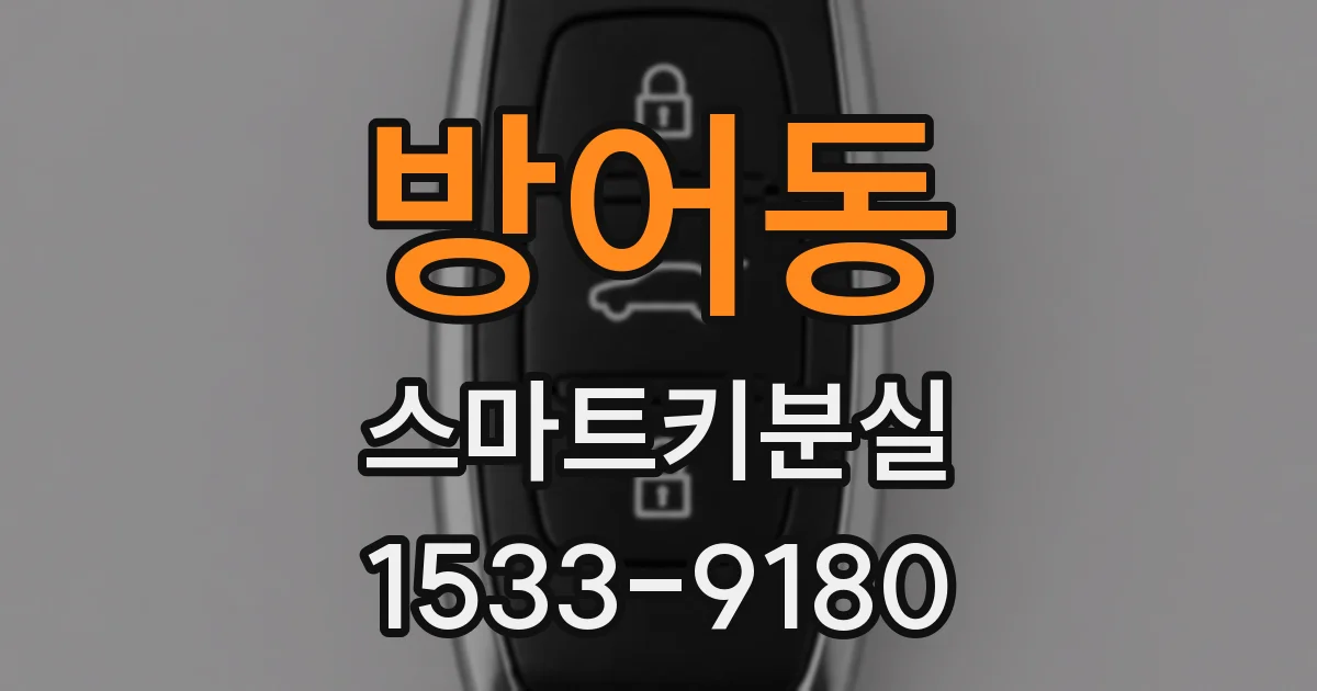 방어동 스마트키분실