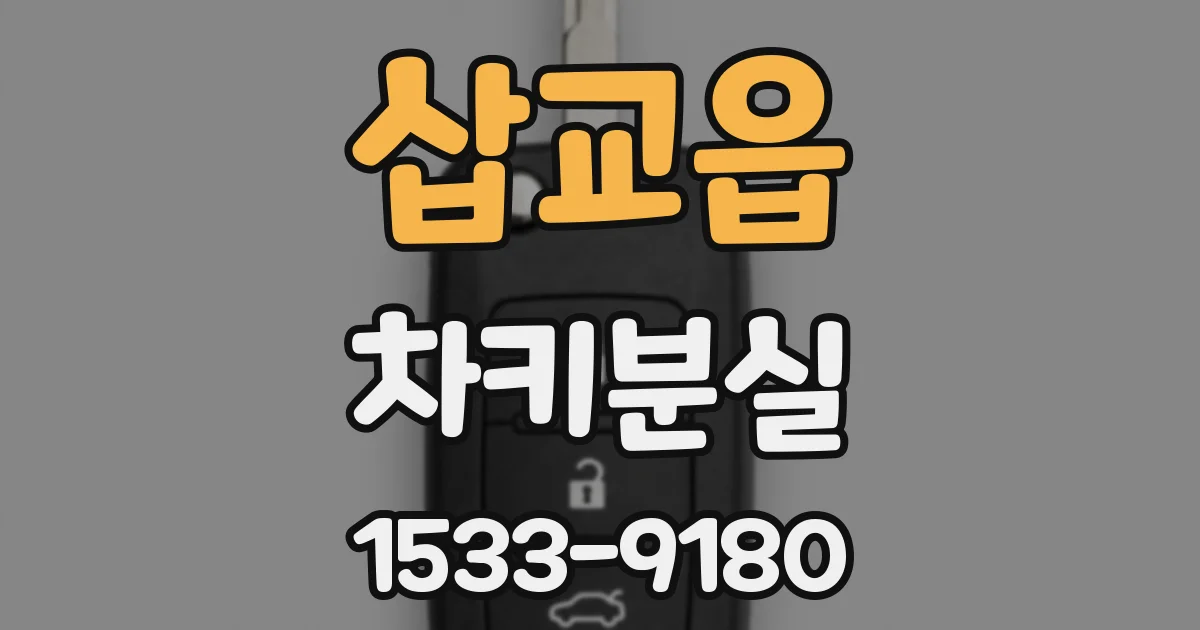 삽교읍 차키분실