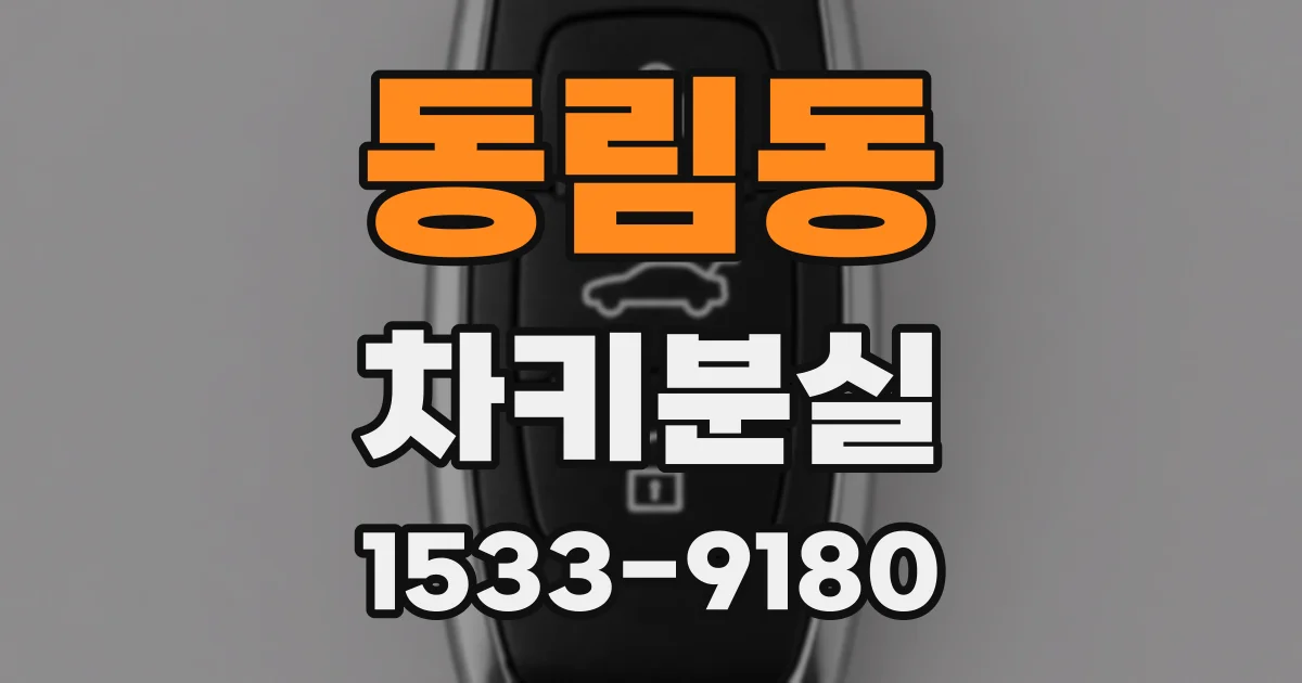 동림동 차키분실