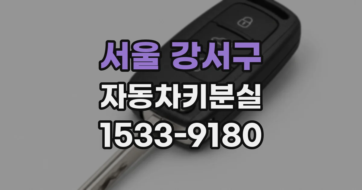 서울 강서구 자동차키분실