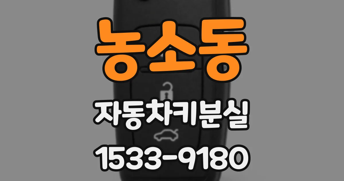 농소동 자동차키분실