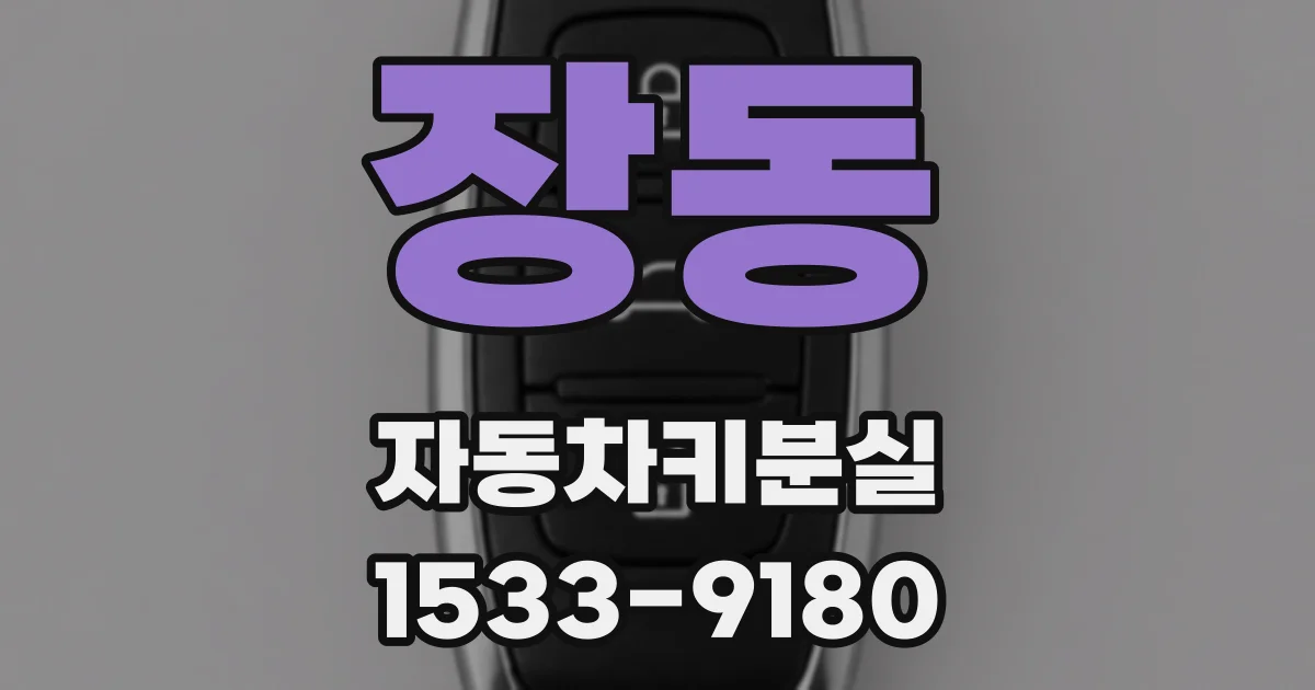 장동 자동차키분실