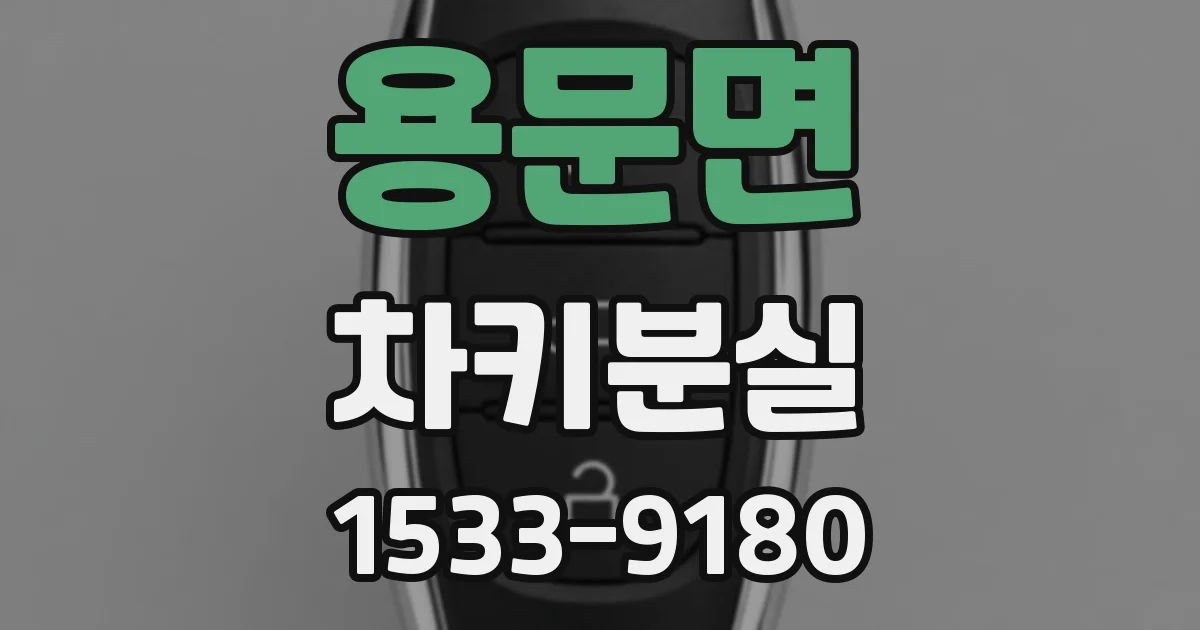 용문면 차키분실