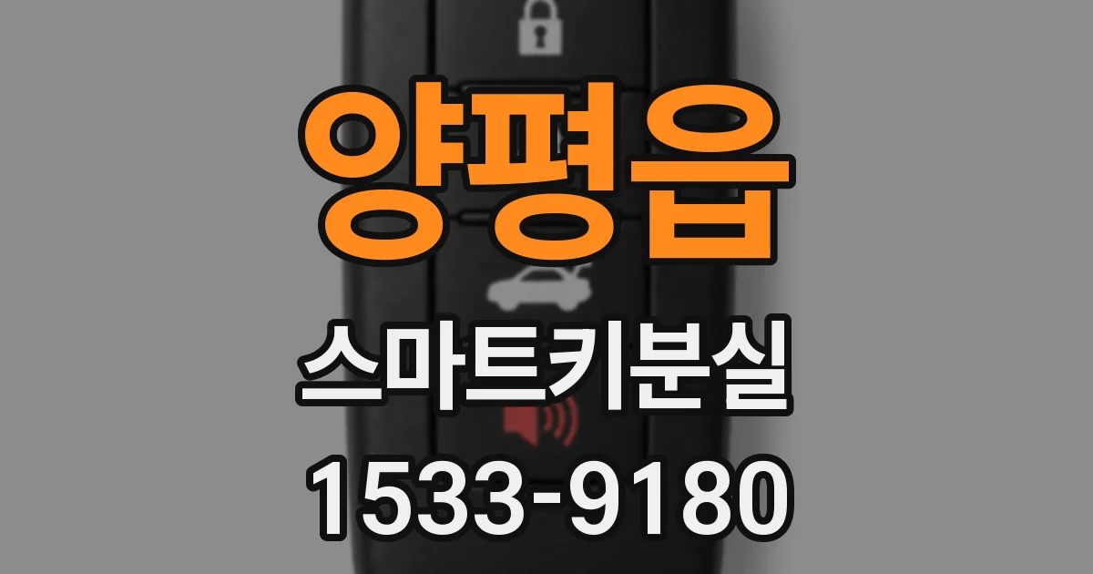 양평읍 스마트키분실