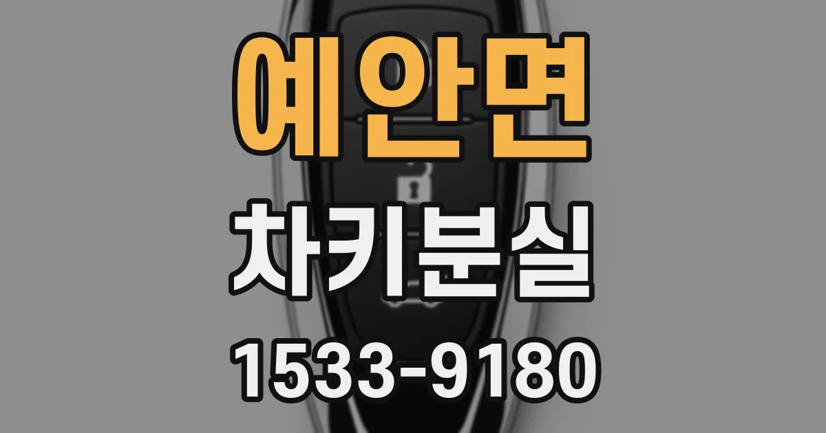예안면 차키분실