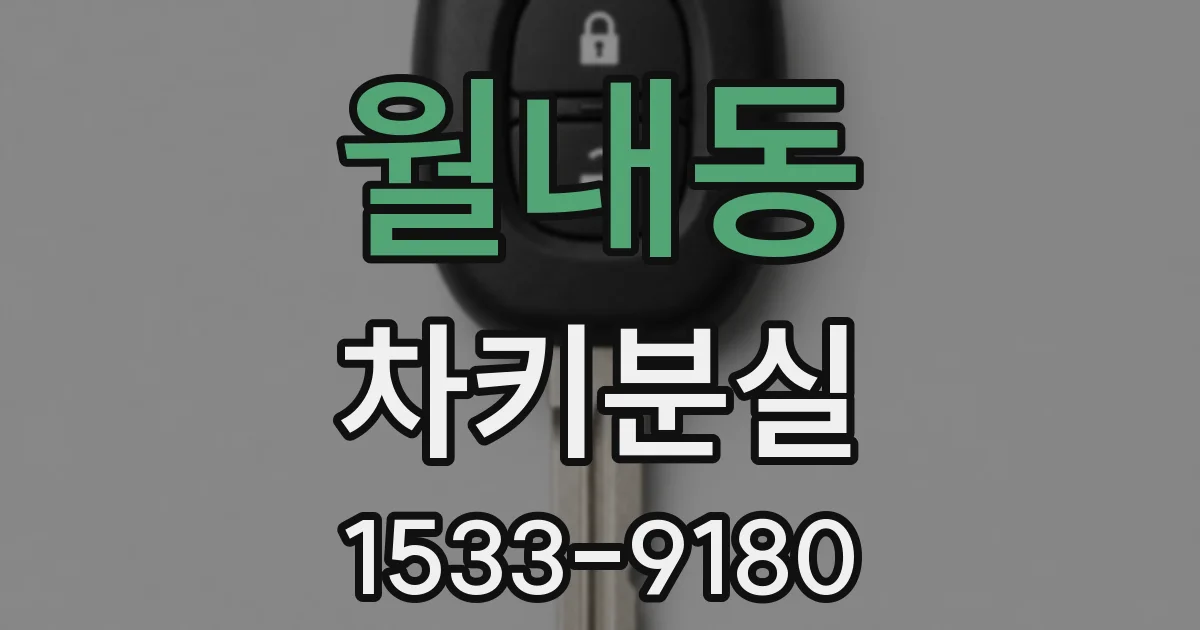 월내동 차키분실