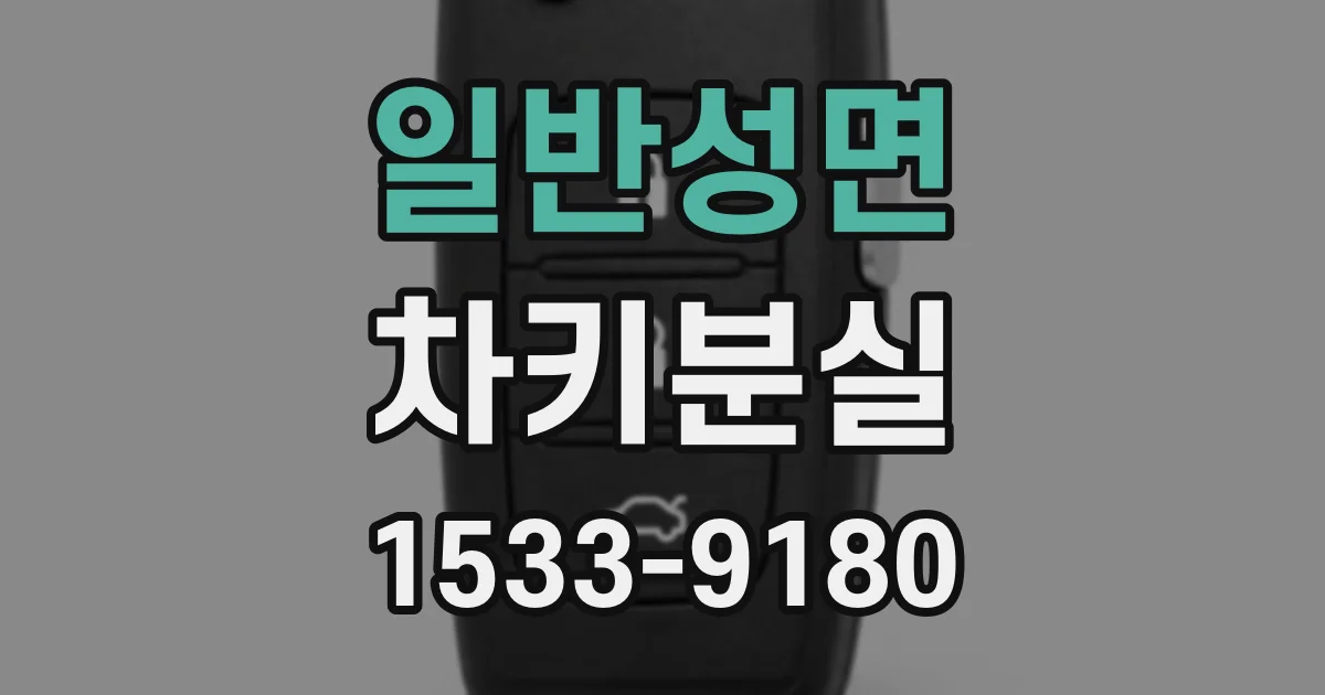 일반성면 차키분실