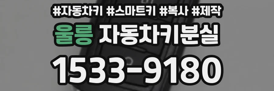 울릉 자동차키분실