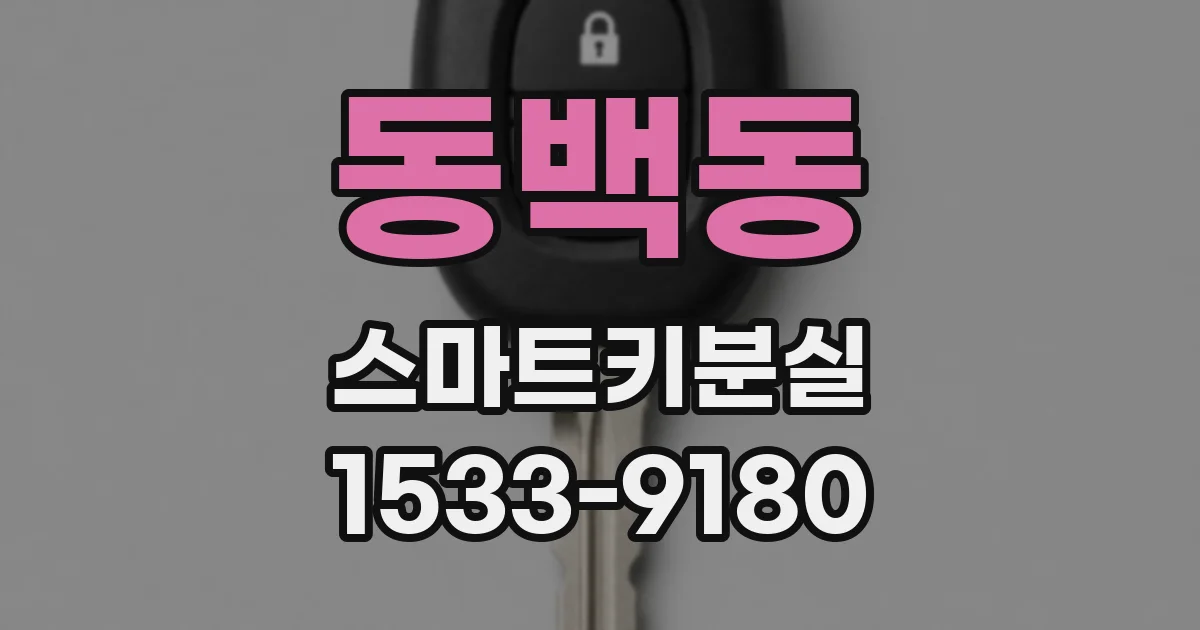 동백동 스마트키분실