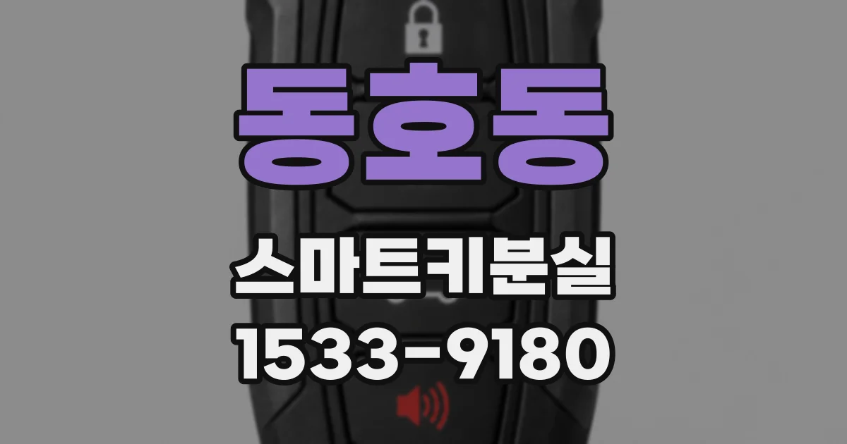 동호동 스마트키분실
