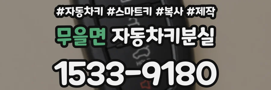 무을면 자동차키분실