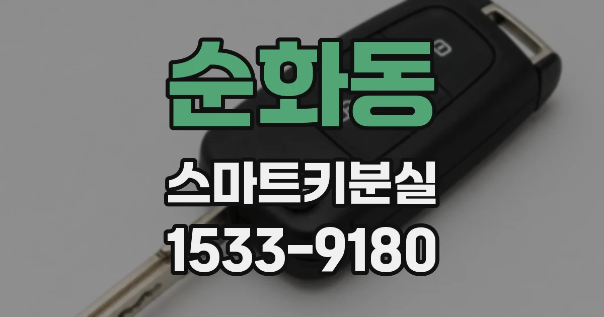 순화동 스마트키분실