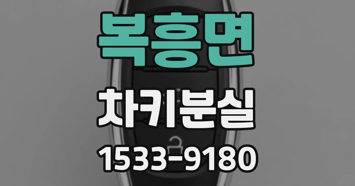 복흥면 차키분실
