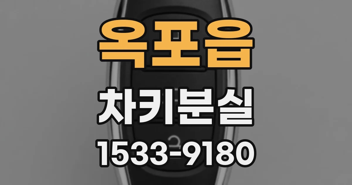 옥포읍 차키분실