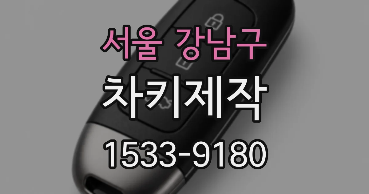서울 강남구 차키제작