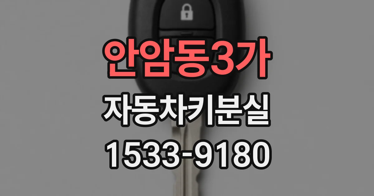 안암동3가 자동차키분실