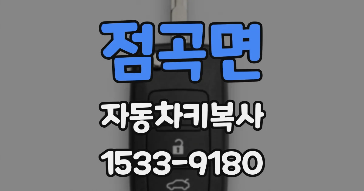 점곡면 자동차키복사