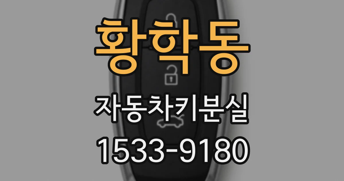 황학동 자동차키분실