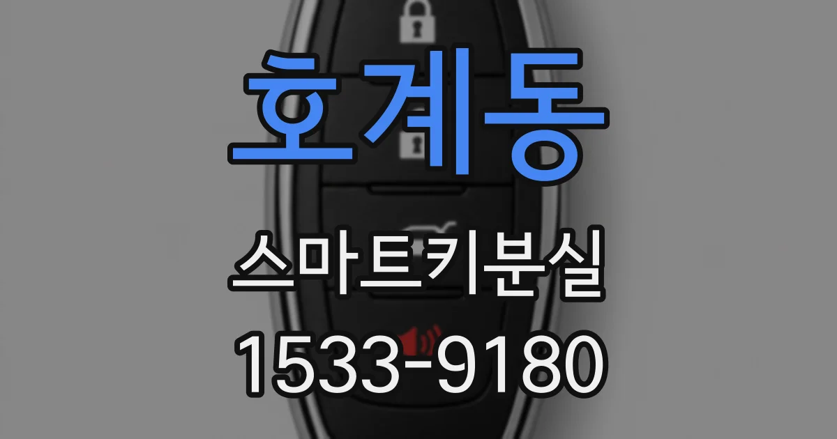 호계동 스마트키분실