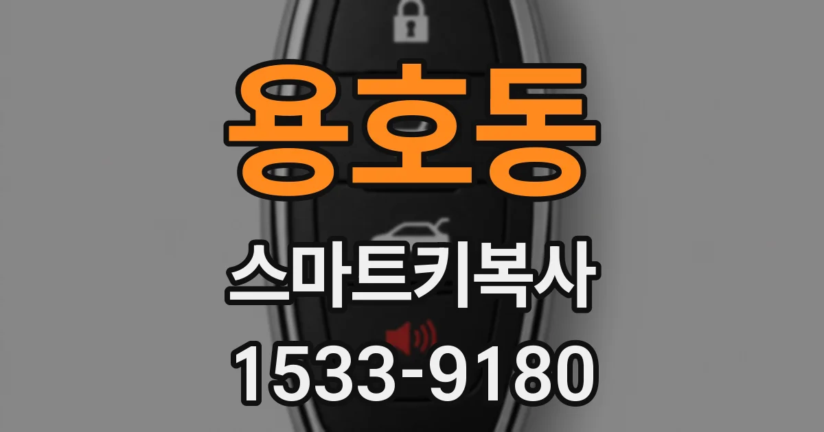 용호동 스마트키복사