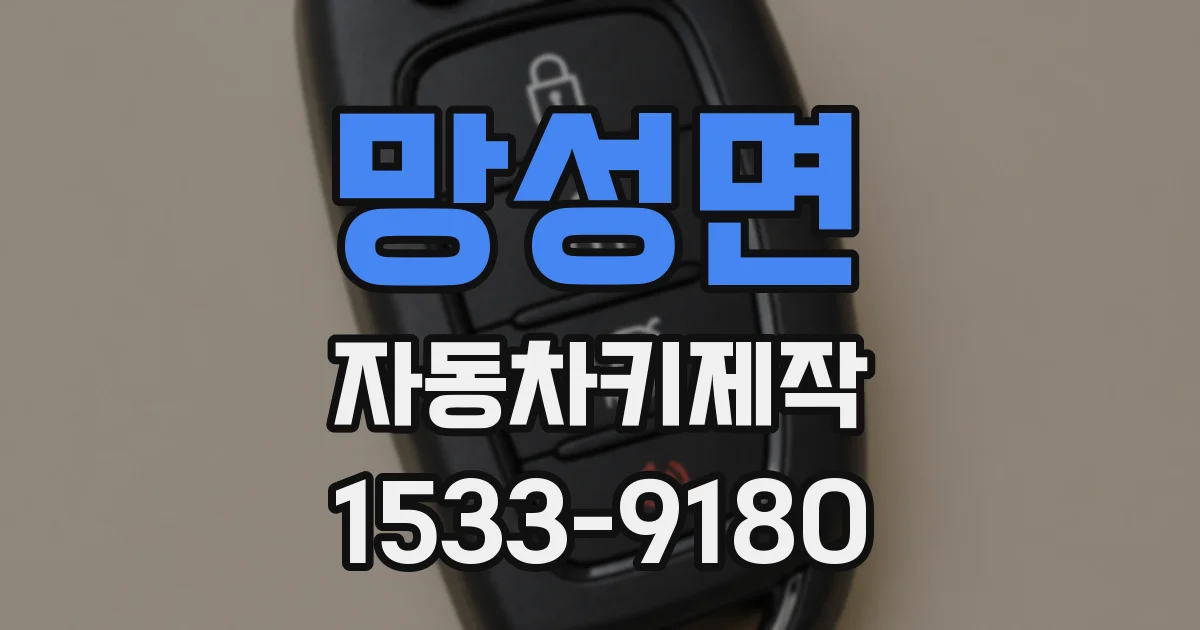 망성면 자동차키제작