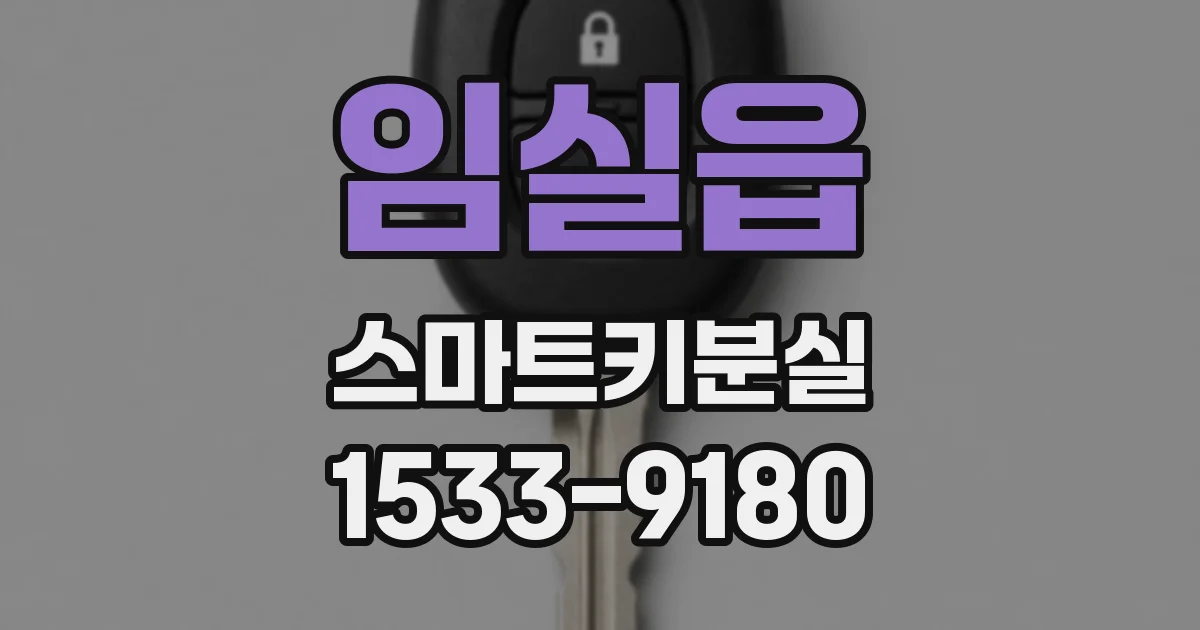 임실읍 스마트키분실